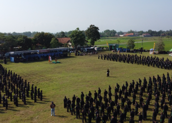 800 Siswa PSHT Klaten Ikuti Ujian Kenaikan Tingkat di Pedan