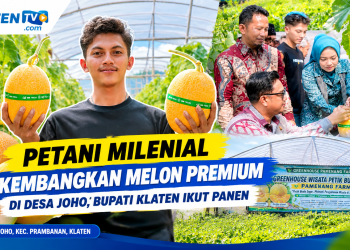 Irfan Buktikan Bertani Tak Ketinggalan Zaman, Kembangkan Melon di Greenhouse
