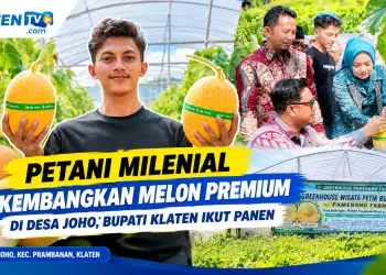 Irfan Buktikan Bertani Tak Ketinggalan Zaman, Kembangkan Melon di Greenhouse